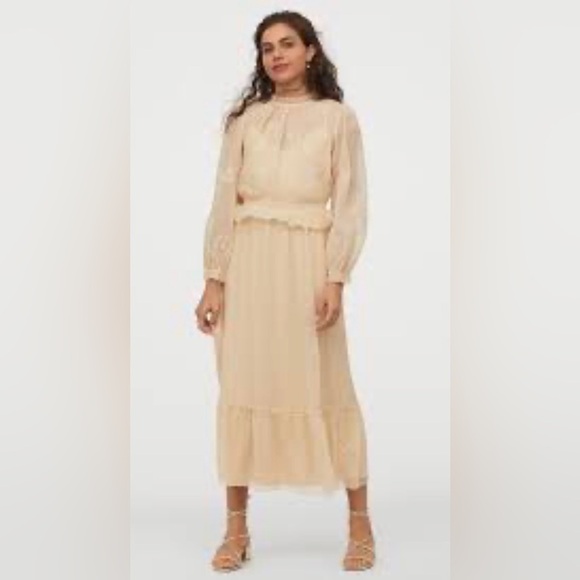 H&M Light Beige Chiffon Maxi Dress | US Size 2 - Picture 10 of 10